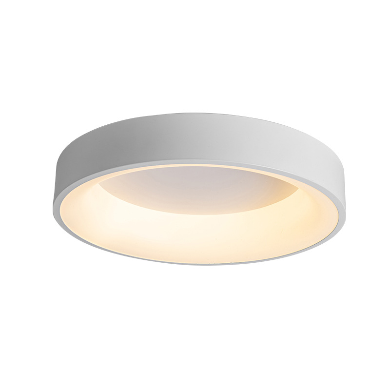 Modern Round Circle LED Ceiling Light Ceiling Mounted Circular Ring Lamp for Foyer Bedroom Kitchen Decor Lighting Fixture