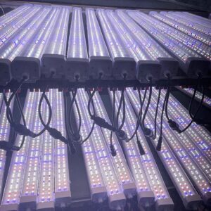 Undercanopy 120w 4ft 6500k Linear Led