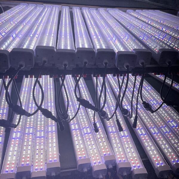 Undercanopy 120w 4ft 6500k Linear Led