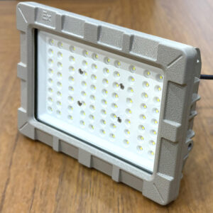 LED IP66 Explosion-Proof Lights WF2 Ex-proof Lamp Specific Product Category