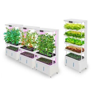 Hydroponic Equipment Indoor Gardening Automatic Vertical Hydroponic Growing System
