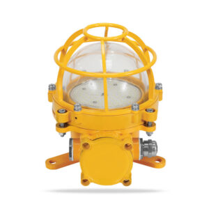 Explosion-proof Light 60W-Incandescent Light Source IP66 316L