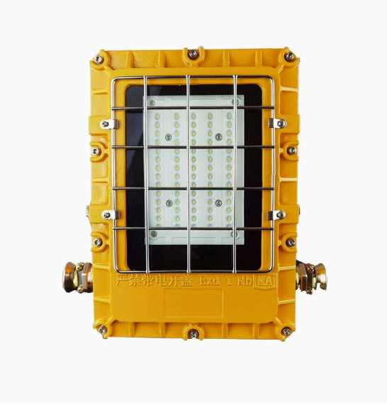 Explosion-Proof Low Bay Lamp with Isolation Belt Disconnector Vandalproof Dome Cover Pendant